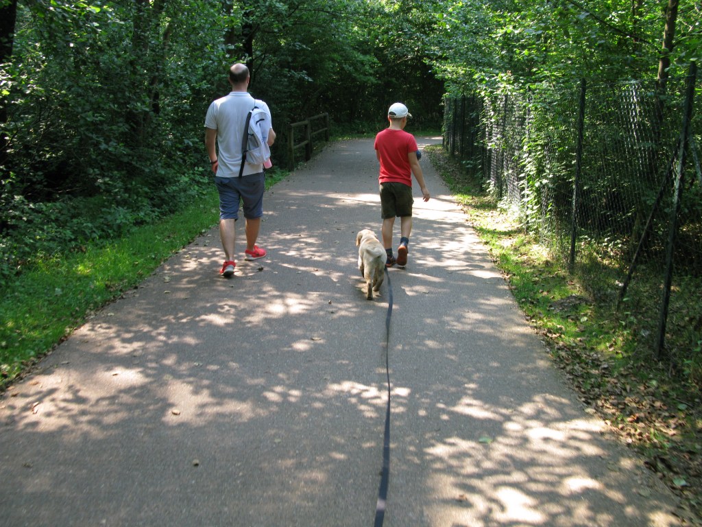 Mal di spalle e cani che tirano.