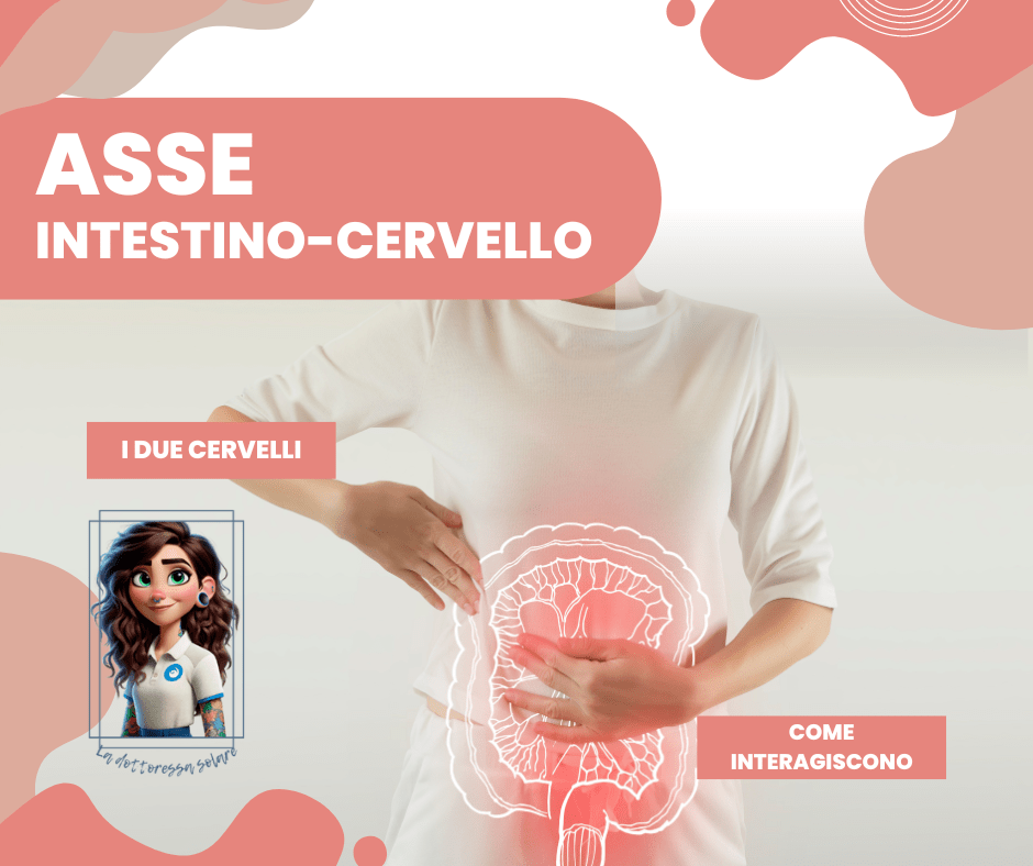 I due cervelli e il colon irritabile. L’asse intestino cervello e il microbiota intestinale.
