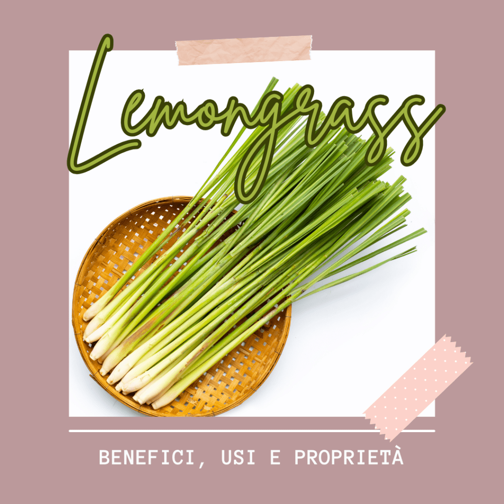 L’Olio Essenziale di Lemongrass: Benefici, Usi e Proprietà per il Benessere Fisico e&nbsp;Mentale