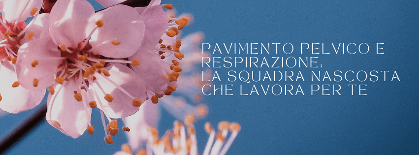 Pavimento pelvico e respirazione: la squadra nascosta che lavora per&nbsp;te