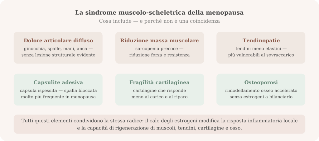 Infografica sulla sindrome muscolo-scheletrica della menopausa che descrive diversi sintomi e condizioni associati, come dolore articolare diffuso, riduzione della massa muscolare, tendinopatie, capsulite adesiva, fragilità cartilaginea e osteoporosi.
